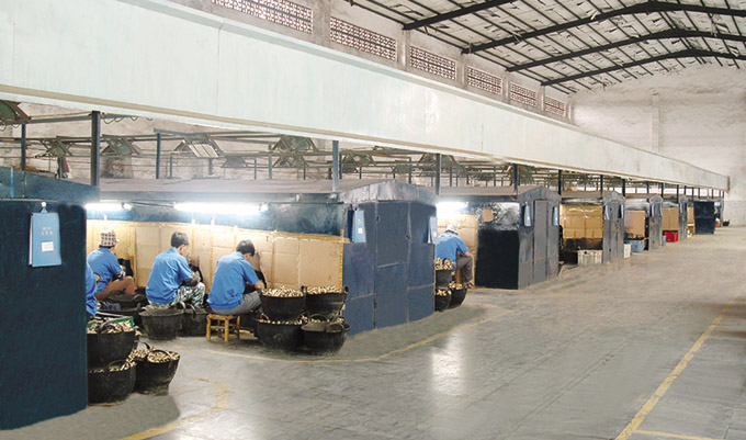 厂房展示